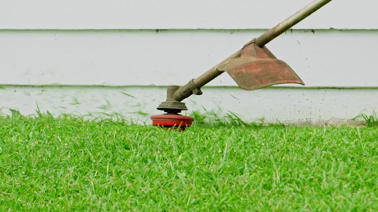 Gruver, TX Tree Services Company